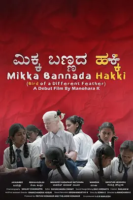 msi中国官网